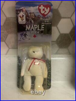 MAPLE The Bear Rare Ty Beanie Baby (With Errors), Never Opened, In box