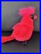 MINT-TY-BEANIE-BABY-Mac-The-Cardinal-Rare-1998-Retired-With-ERRORS-01-aftn