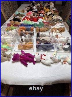 Massive Super Rare Vintage Beanie Babys collection