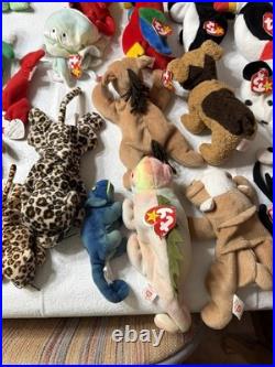 Massive Super Rare Vintage Beanie Babys collection