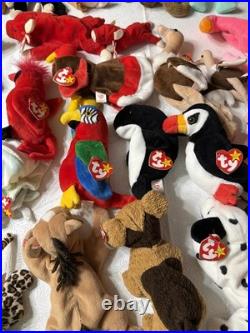 Massive Super Rare Vintage Beanie Babys collection