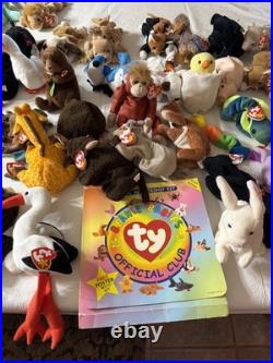 Massive Super Rare Vintage Beanie Babys collection