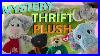 Mystery-Thrift-Plush-Unboxing-Goodwill-Plushie-Finds-Ty-Build-A-Bear-And-More-Stuffed-Toys-Part-7-01-mgos