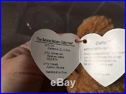 NEW Plastic Case TY Beanie Original Baby CURLY Bear (11) Very RARE Errors 1996