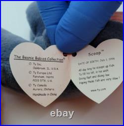Nwt, Scoop The Pelican Beanie Baby, 7/01/96, Retired, Rare