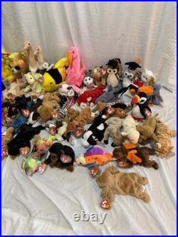 Original Ty Beanie Babies Collection Rare Errors And More. Retired
