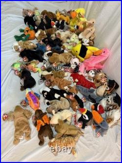Original Ty Beanie Babies Collection Rare Errors And More. Retired