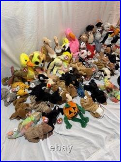 Original Ty Beanie Babies Collection Rare Errors And More. Retired