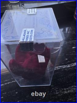 RARE 1993 Ty Beanie Baby Teddy Cranberry 2nd Gen Tag 1st Tush Authenticated PVC