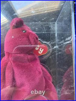 RARE 1993 Ty Beanie Baby Teddy Cranberry 2nd Gen Tag 1st Tush Authenticated PVC