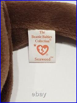 RARE 95/96 TY Seaweed Otter Beanie Baby Retired Tag & dates Errors pvc pellet
