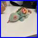 RARE-Beanie-Babies-TY-Iguana-Iggy-COLOR-ERROR-Rainbow-Red-Eyes-PVC-Pellets-1997-01-ab
