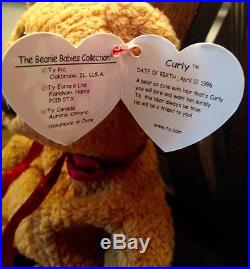 RARE Curly Bear 1996 TY Beanie Baby with Tag Errors