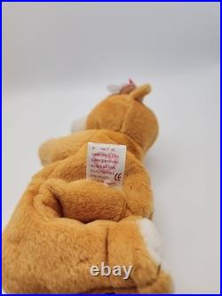 RARE MINT 1998 Ty Beanie Baby Praying HOPE Bear with Errors? ! MWMT