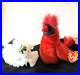 RARE-Mac-the-Cardinal-Beanie-Baby-RETIRED-Mint-Condition-with-Errors-01-wxy