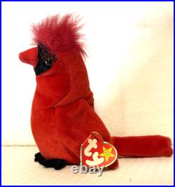RARE Mac the Cardinal Beanie Baby RETIRED Mint Condition with Errors