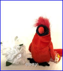 RARE Mac the Cardinal Beanie Baby RETIRED Mint Condition with Errors