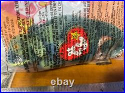 RARE McDonald's Iggy the Iguana ty teenie beanie babies 1993 witherrors NIP sealed