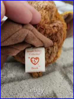 RARE NEW Beak Beanie Baby 1998