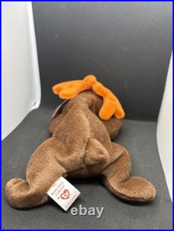 RARE Original CHOCOLATE the Moose Beanie Baby 1993 (Retired) with errors