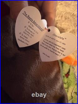 RARE Original CHOCOLATE the Moose Beanie Baby 1993 (Retired) with errors