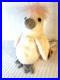 RARE-RETIRED-Kuku-the-Cockatoo-Ty-Beanie-Baby-Mint-Condition-with-Errors-01-kbkm