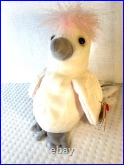 RARE RETIRED Kuku the Cockatoo Ty Beanie Baby Mint Condition with Errors