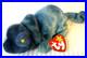 RARE-RETIRED-MINT-Ty-Beanie-Baby-Rainbow-the-Chameleon-01-jaq