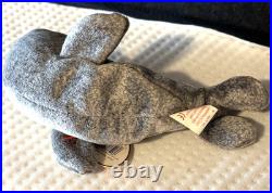 RARE RETIRED Slippery the Seal Ty Beanie Baby with Errors