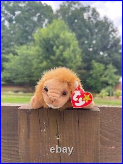 RARE Retired TY Beanie Baby 1996 Roary the Lion withPellets! ERRORS