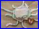 RARE-Retired-TY-Beanie-Baby-Goochy-the-Jellyfish-with-errors-01-iww