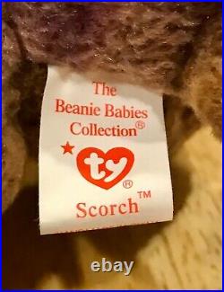 RARE Scorch the Dragon TY Beanie Baby Retired Mint Condition with tag ERRORS