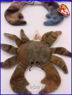 RARE TAG ERROR Ty Beanie Babies 1996 Claude the Crab NEAR MINT & Baby Crab