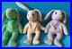 RARE-TRIO-Beanie-Babies-HIPPITY-HOPPITY-FLOPPITY-BUNNYS-with-RARE-Typo-Tags-01-si
