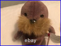 RARE TY BEANIE BABIES JOLLY WALRUS With Tag ERRORS Plush Toy PVC Retired