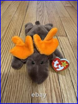 RARE TY Beanie Babies Chocolate the Moose With Hang Tag Error