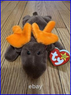 RARE TY Beanie Babies Chocolate the Moose With Hang Tag Error