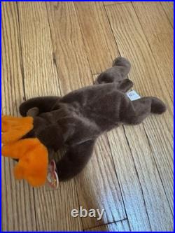 RARE TY Beanie Babies Chocolate the Moose With Hang Tag Error