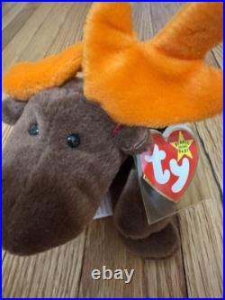 RARE TY Beanie Babies Chocolate the Moose With Hang Tag Error