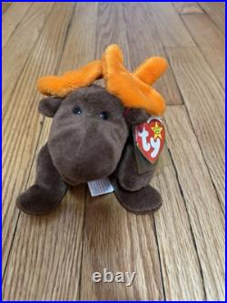 RARE TY Beanie Babies Chocolate the Moose With Hang Tag Error