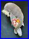 RARE-TY-Beanie-Baby-JOLLY-Walrus-withTag-ERRORS-Plush-Toy-PVC-Retired-01-sz