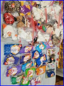 RARE TY Beanie Baby Ultra Museum Lot 200+ Pcs Retired Sealed Carded $500,000 OBO