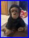 RARE-TY-Retired-Beanie-Baby-CONGO-1996-with-Tag-ERRORS-01-hus
