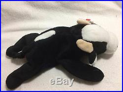 RARE TY Style 4006 Beanie Baby Daisy Cow PVC Pellets Retired Mistyped Tag Error
