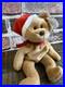 RARE-Ty-1997-Teddy-Style-4200-Beanie-Baby-Bear-Brown-Nose-PVC-01-cdy