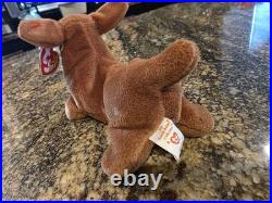 RARE Ty Beanie Babies Weenie The Dachshund, 1995. TAG ERROR, Condition NEW