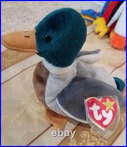 RARE Ty Beanie Babies withERRORS Bird Collection Quakers, Jake, Baldy, etc
