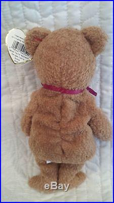 RARE Ty Beanie Baby Curly Bear with 11 POSSIBLE ERRORS