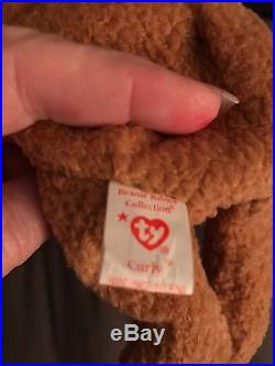 RARE Ty Beanie Baby'Curly' The Bear With all 18 Errors or rarities MINT