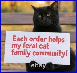 RARE Ty Beanie Baby FLEECE 1996 Lamb TAG ERRORS Tush Sticker MWMT PVC White